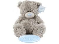 teddy